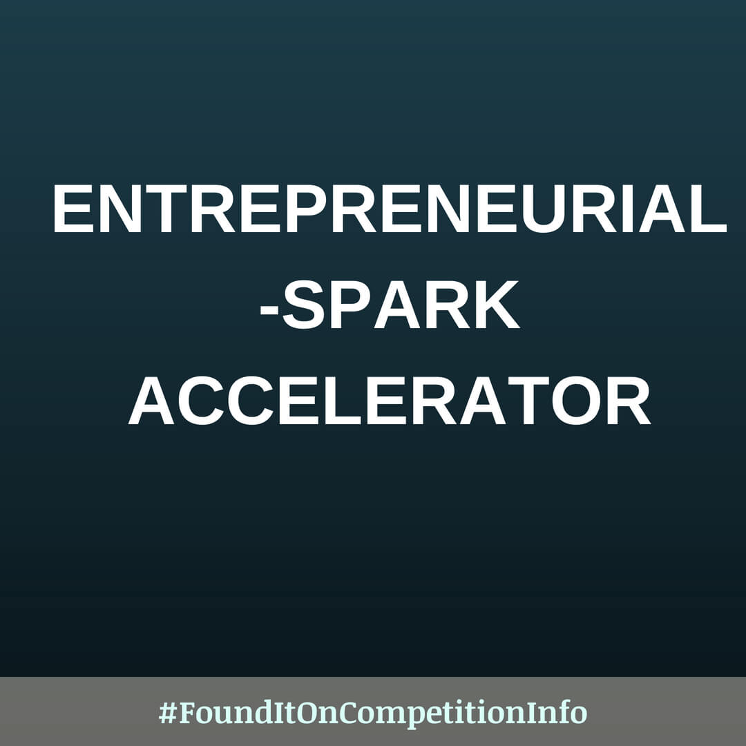 Entrepreneurial-Spark Accelerator