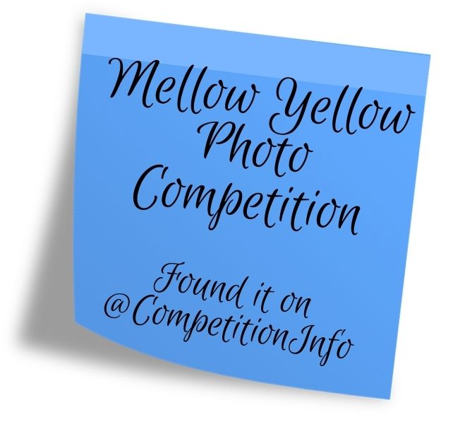 Mellow Yellow Photo Competition