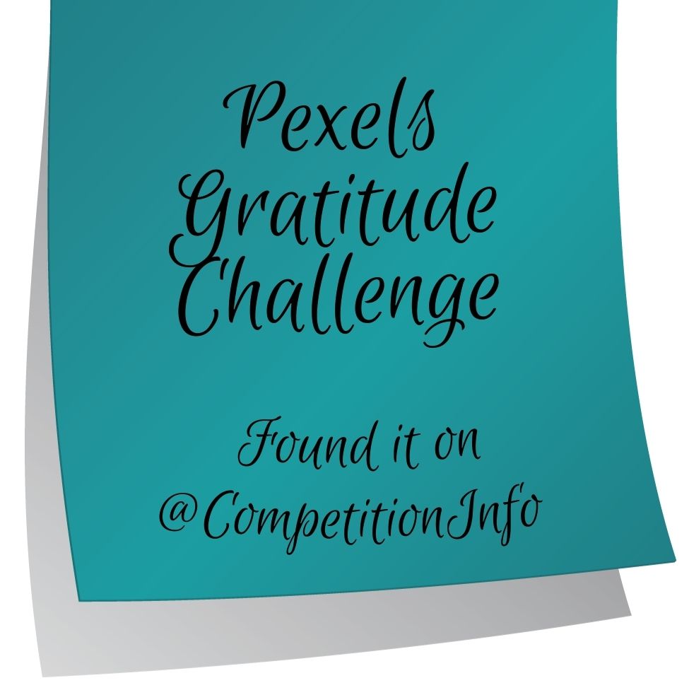 Pexels Gratitude Challenge