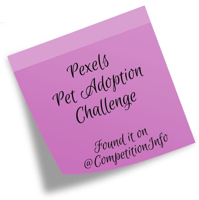 Pexels Pet Adoption Challenge