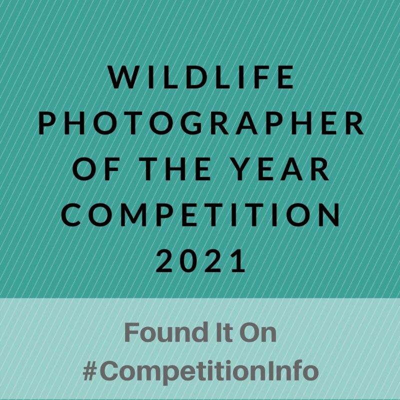 Wildlife Photographer of the Year Competition 2021