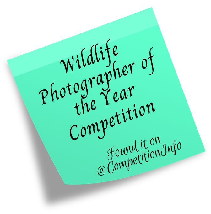 Wildlife Photographer of the Year Competition